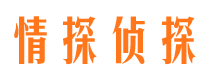 阿尔山市调查公司